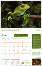 calendar