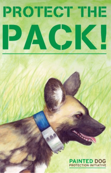 african-painted-dog--poster